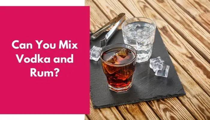 Can You Mix Vodka and Rum