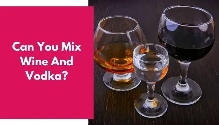 Can You Mix Wine And Vodka