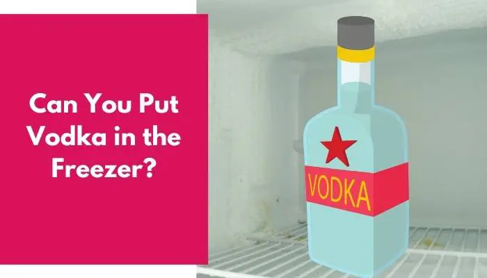 Can You Put Vodka in the Freezer