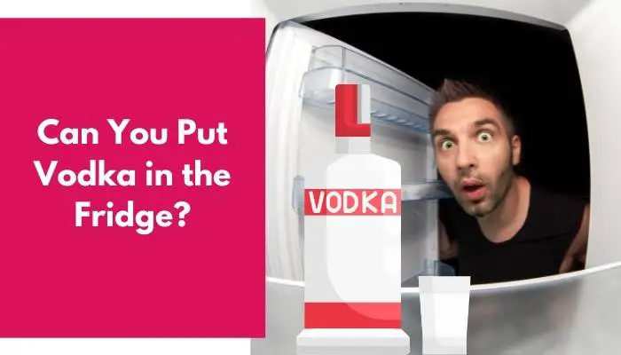 Can You Put Vodka in the Fridge